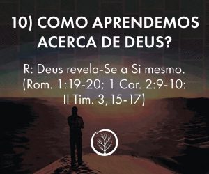 Pergunta 10: Como aprendemos acerca de Deus?