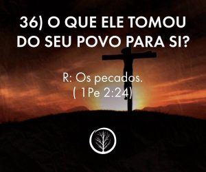 Pergunta 36: O que ele tomou do seu povo para si?